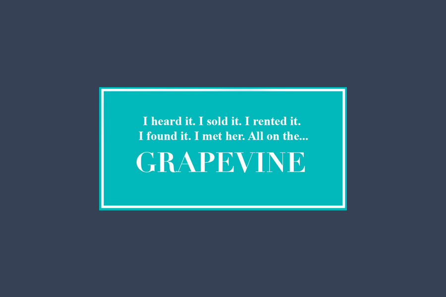 GrapeVine Partner Logo