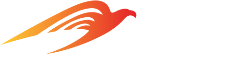 Sky Eagle Aviation Academy